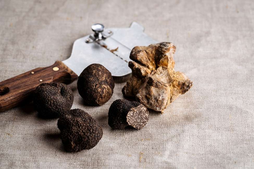 Truffes et Champignons